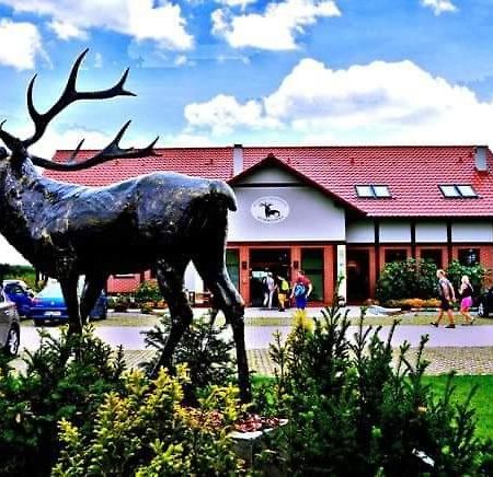 Pensjonat i Restauracja Hubertówka Milicz Exterior foto